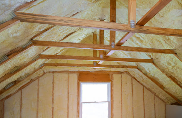Best Insulation Removal  in Statham, GA